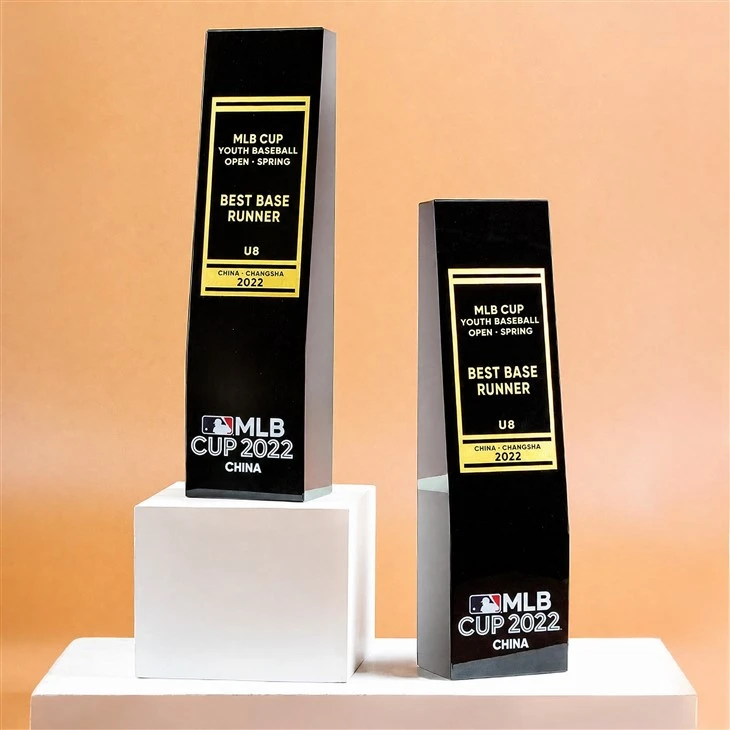 Premium Black Crystal Business Award Trophy